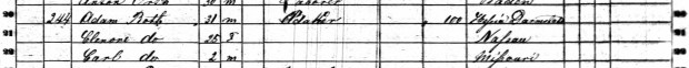 Roth 1860 Census clip