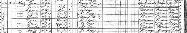 Roth Kunz 1880 Census clip